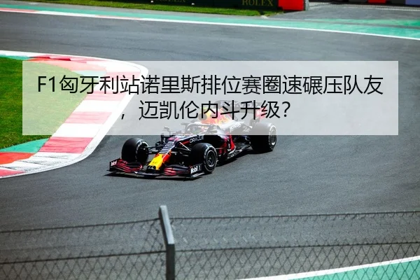 F1匈牙利站诺里斯排位赛圈速碾压队友，迈凯伦内斗升级？