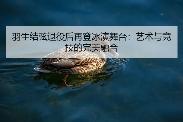 羽生结弦退役后再登冰演舞台：艺术与竞技的完美融合