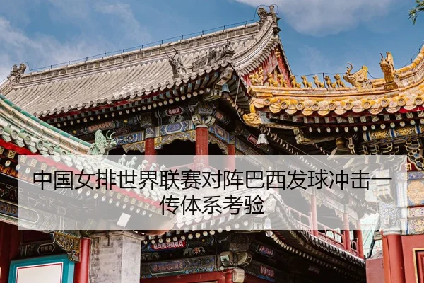 zhong-guo-nv-pai-shi-jie-lian-sai-dui-zhen-ba-xi-fa-qiu-chong-ji-yi-chuan-ti-xi-kao-yan-3-559.jpg