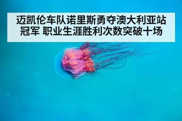迈凯伦车队诺里斯勇夺澳大利亚站冠军 职业生涯胜利次数突破十场