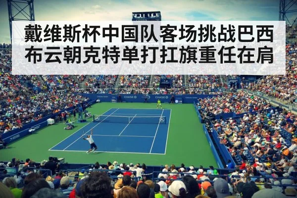 戴维斯杯中国队客场挑战巴西 布云朝克特单打扛旗重任在肩