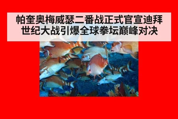 帕奎奥梅威瑟二番战正式官宣迪拜世纪大战引爆全球拳坛巅峰对决