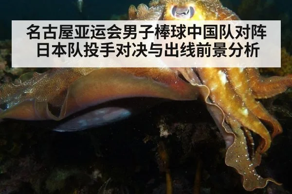 名古屋亚运会男子棒球中国队对阵日本队投手对决与出线前景分析